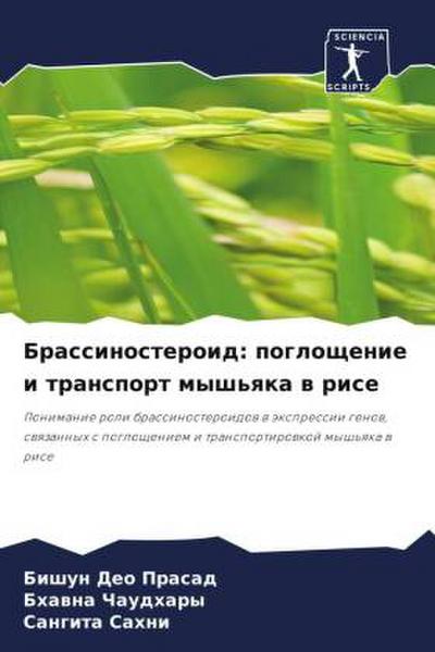 Brassinosteroid: pogloschenie i transport mysh’qka w rise