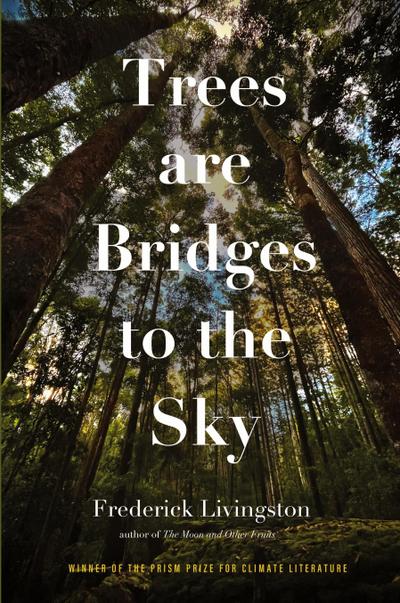 Trees are Bridges to the Sky