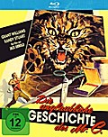 Die Unglaubliche Geschichte des Mr. C