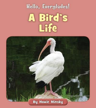 A Bird’s Life