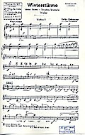 Winterstürme: für SalonorchesterErgänzungsstimmen