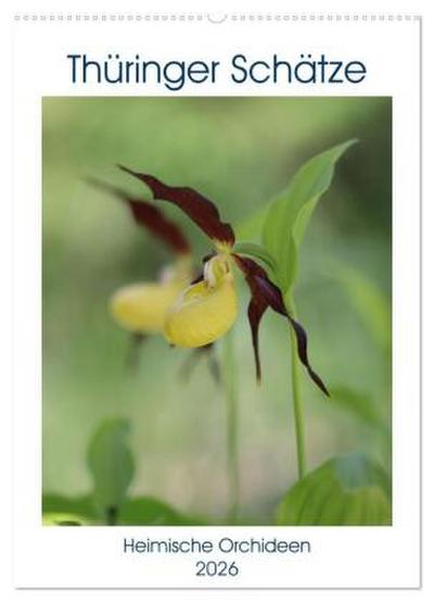 Thüringer Schätze (Wandkalender 2026 DIN A2 hoch), CALVENDO Monatskalender