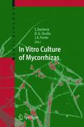 In Vitro Culture of Mycorrhizas