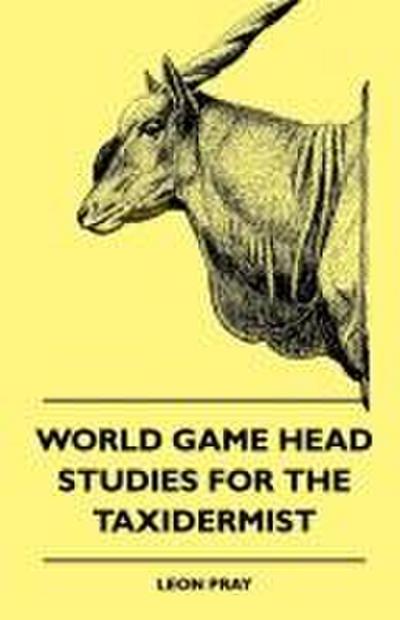 World Game Head Studies for the Taxidermist