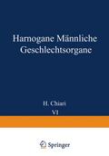 Harnorgane Männliche Geschlechtsorgane