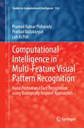 Computational Intelligence in Multi-Feature Visual Pattern Recognition