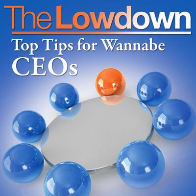 Lowdown: Top Tips for Wannabe CEOs