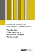 Wandel der Erwerbsarbeit - Innovative Ansätze der Inklusion