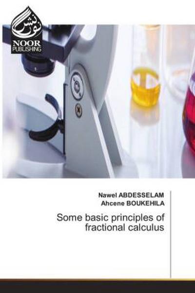 Some basic principles of fractional calculus