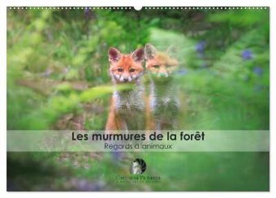 Les murmures de la forêt - Regards d’animaux (Calendrier mural 2026 DIN A2 vertical), CALVENDO calendrier mensuel