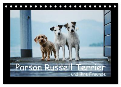 Parson Russell Terrier (Tischkalender 2024 DIN A5 quer), CALVENDO Monatskalender