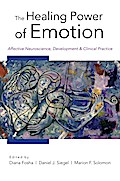 The Healing Power of Emotion: Affective Neuroscience, Development & Clinical Practice (Norton Series on Interpersonal Neurobiology)