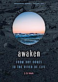 Awaken