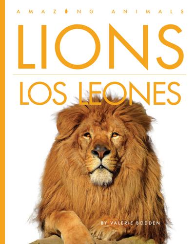Lions / Los Leones