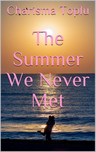 The Summer We Never Met