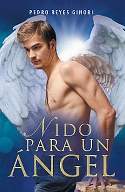 Nido Para Un Ángel