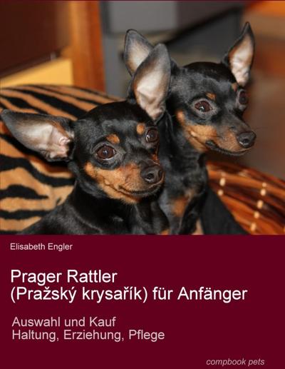 Prager Rattler (Prazský krysarík) für Anfänger
