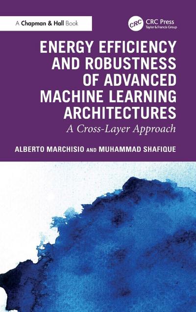 Energy Efficiency and Robustness of Advanced Machine Learning Architectures