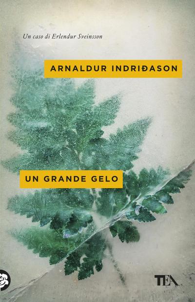 Un grande gelo. I casi dell’ispettore Erlendur Sveinsson. Vol. 5