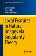 Local Features in Natural Images via Singularity Theory