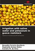 Irrigation with saline water and potassium in guava rootstock