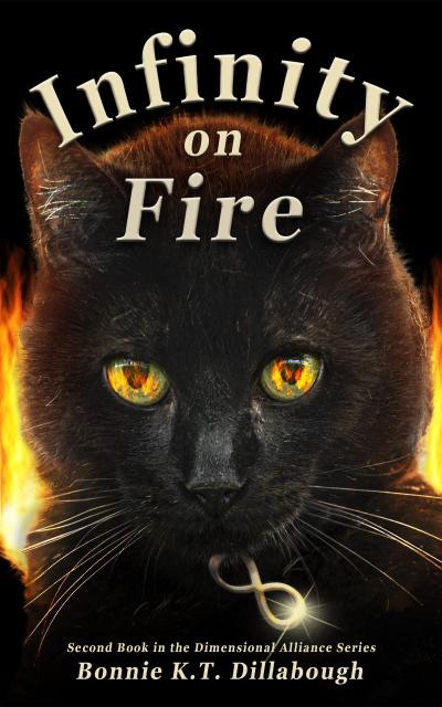 Infinity on Fire (The Dimensional Alliance 2nd edition, #2)