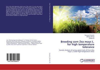 Breeding corn Zea mays L. for high temperature tolerance