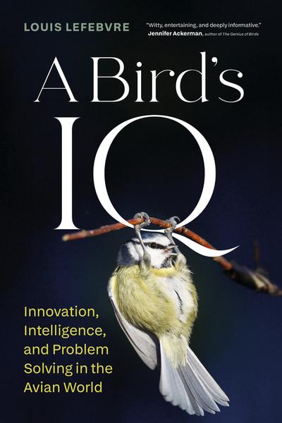 A Bird’s IQ