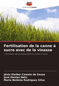 Fertilisation de la canne à sucre avec de la vinasse