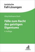 Fälle zum Recht des geistigen Eigentums
