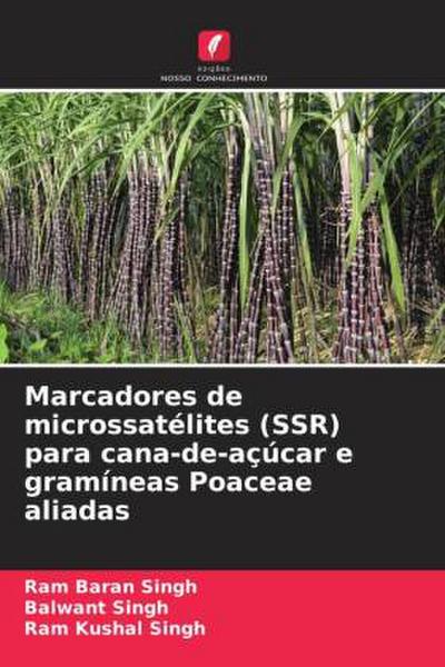 Marcadores de microssatélites (SSR) para cana-de-açúcar e gramíneas Poaceae aliadas