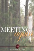 Meeting Again