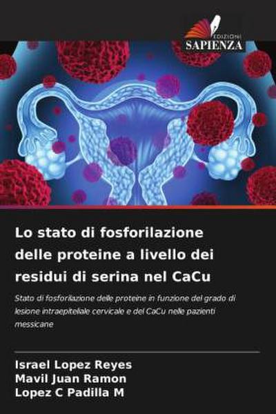 Lo stato di fosforilazione delle proteine a livello dei residui di serina nel CaCu