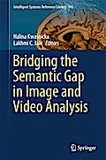 Bridging the Semantic Gap in Image and Video Analysis