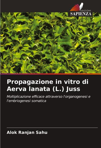 Propagazione in vitro di Aerva lanata (L.) Juss