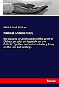 Biblical Commentary