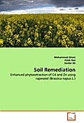Soil Remediation