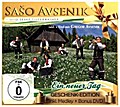 Ein neuer Tag-Geschenk-Editi