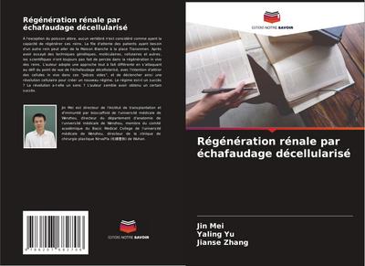 Régénération rénale par échafaudage décellularisé