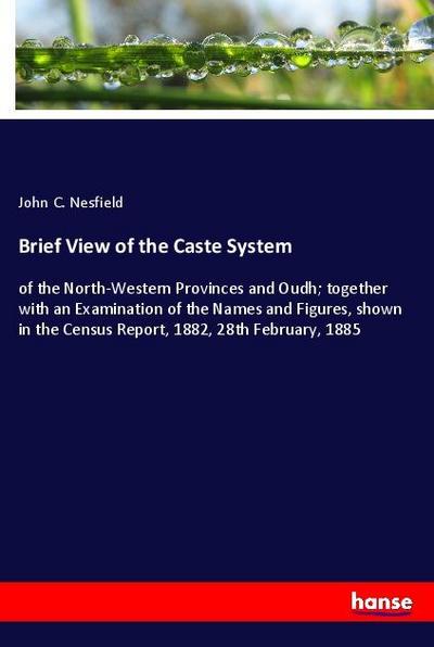 Brief View of the Caste System
