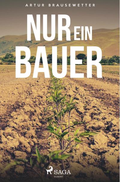 Nur ein Bauer