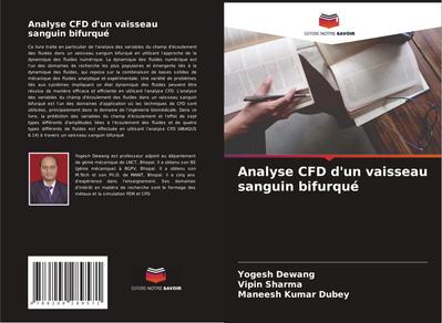 Analyse CFD d’un vaisseau sanguin bifurqué