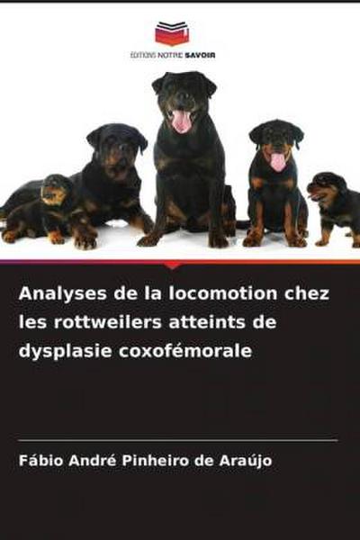 Analyses de la locomotion chez les rottweilers atteints de dysplasie coxofémorale