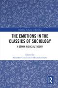 The Emotions in the Classics of Sociology