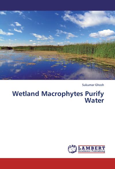 Wetland Macrophytes Purify Water