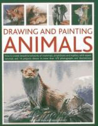 Drawing and Painting Animals