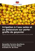 Irrigation à l’eau salée et au potassium sur porte-greffe de goyavier