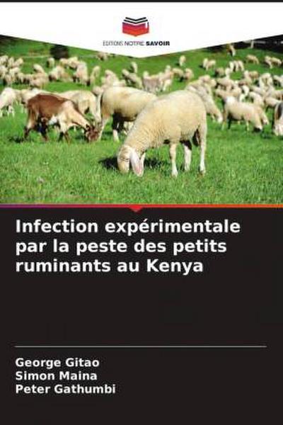 Infection expérimentale par la peste des petits ruminants au Kenya