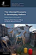 Informal Economy in Developing Nations
