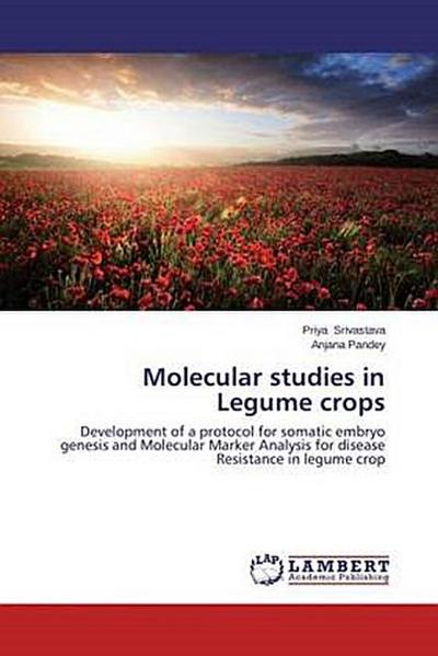 Molecular studies in Legume crops